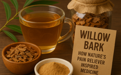 Willow Bark: How Nature’s Pain Reliever Inspired Modern Medicine