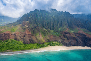 HISTORY OF HAWAIIAN HERBAL MEDICINE
