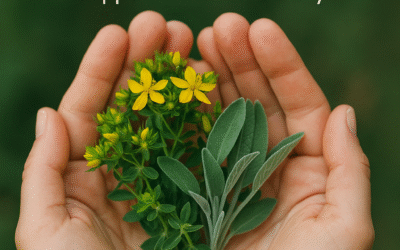 Healing Trauma Naturally: How Herbal Medicine Supports PTSD Recovery