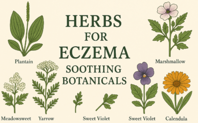 Herbs for Eczema: Soothing Botanicals