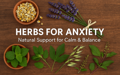 Calm, Naturally: Herbal Strategies for General Anxiety